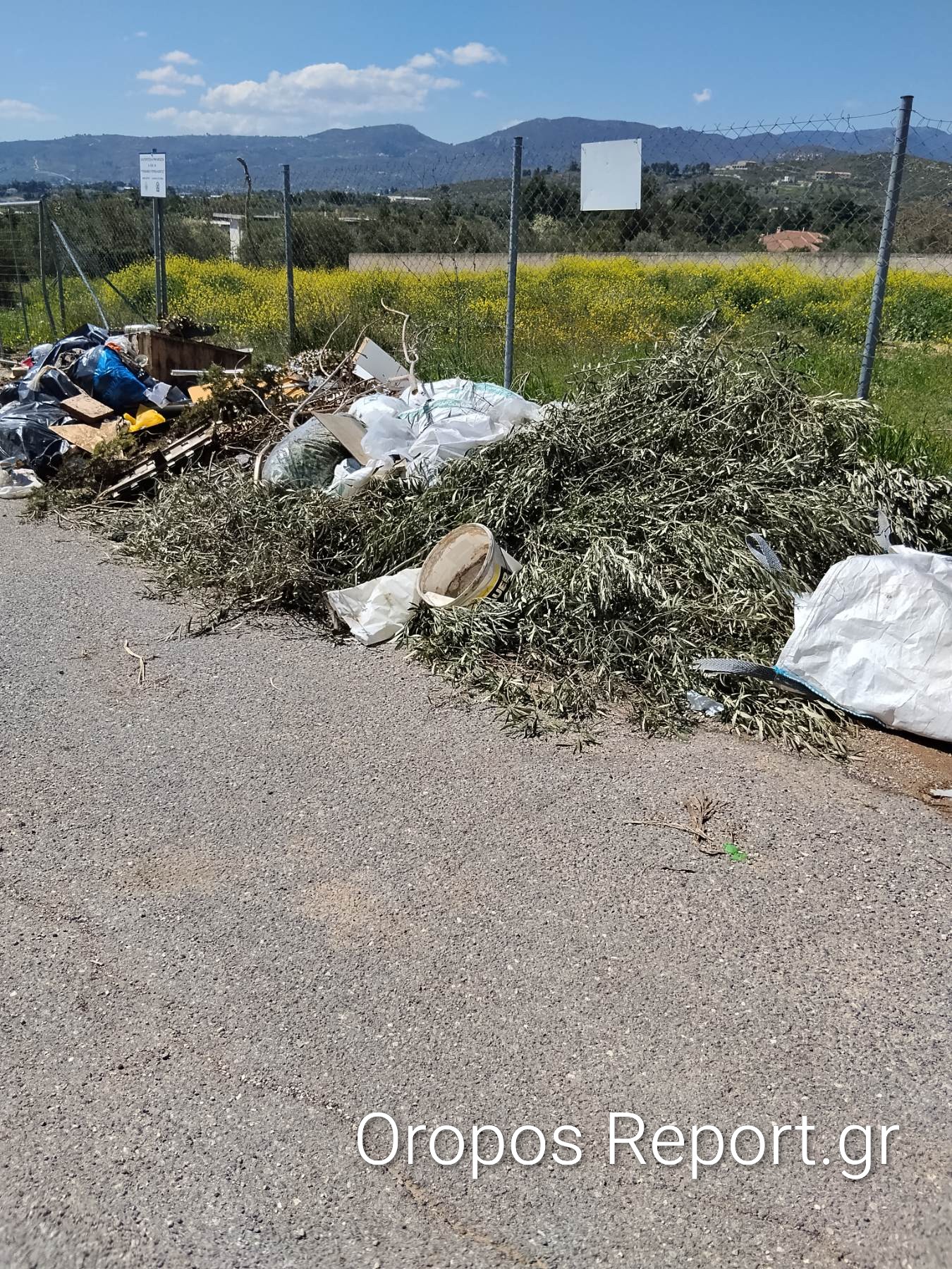Από το Πολυδένδρι Καλό Πάσχα