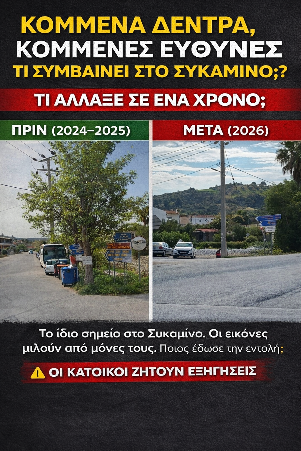 Συκάμινο: Από το πράσινο… στην αποψίλωση – Ποιος έδωσε εντολή;