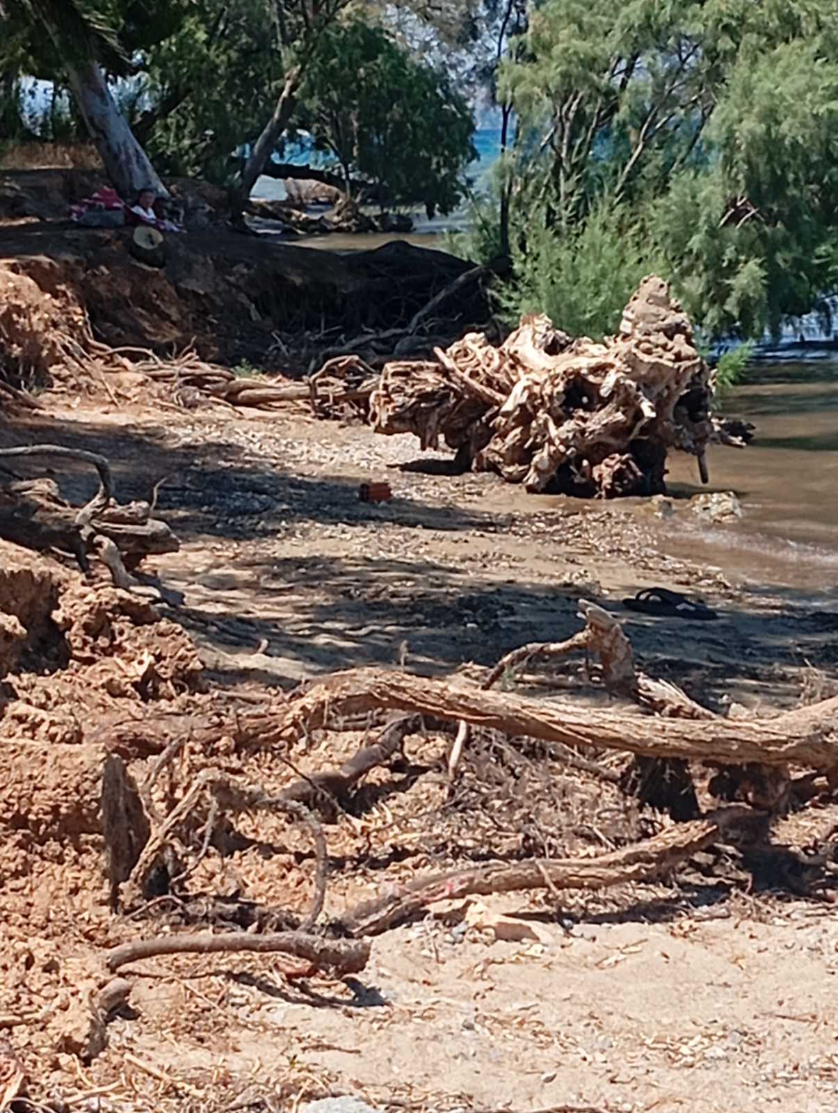 Πλήρης εγκατάλειψη στο Χαλκούτσι! Στα μέσα του καλοκαιριού η εικόνα προκαλεί αγανάκτηση