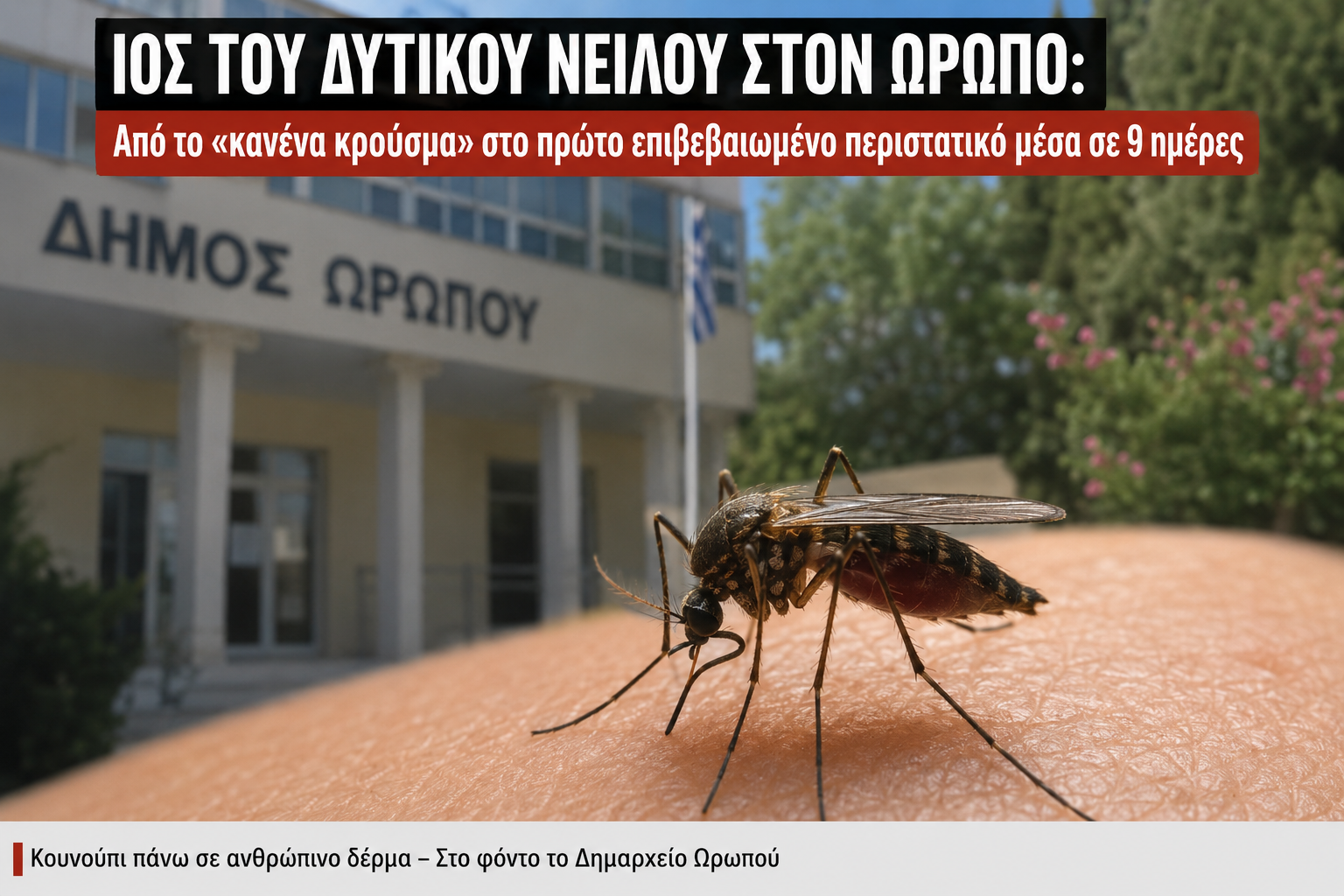 Ιός του Δυτικού Νείλου στον Ωρωπό! Από το «κανένα κρούσμα» στο πρώτο επιβεβαιωμένο περιστατικό μέσα σε 9 ημέρες!